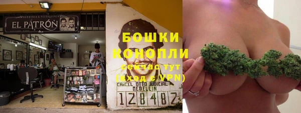 таблы Снежногорск