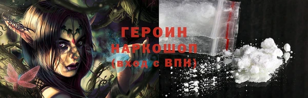сатива Беломорск