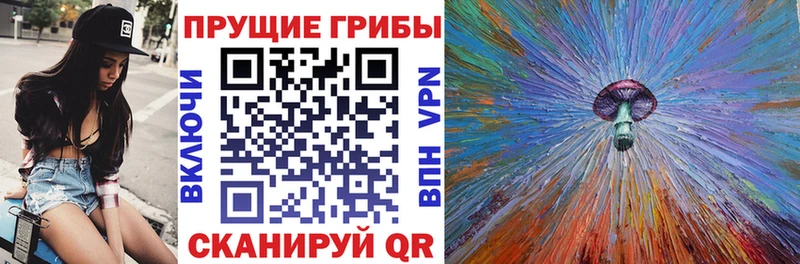 Псилоцибиновые грибы Psilocybine cubensis  MEGA маркетплейс  Емва  цена наркотик 